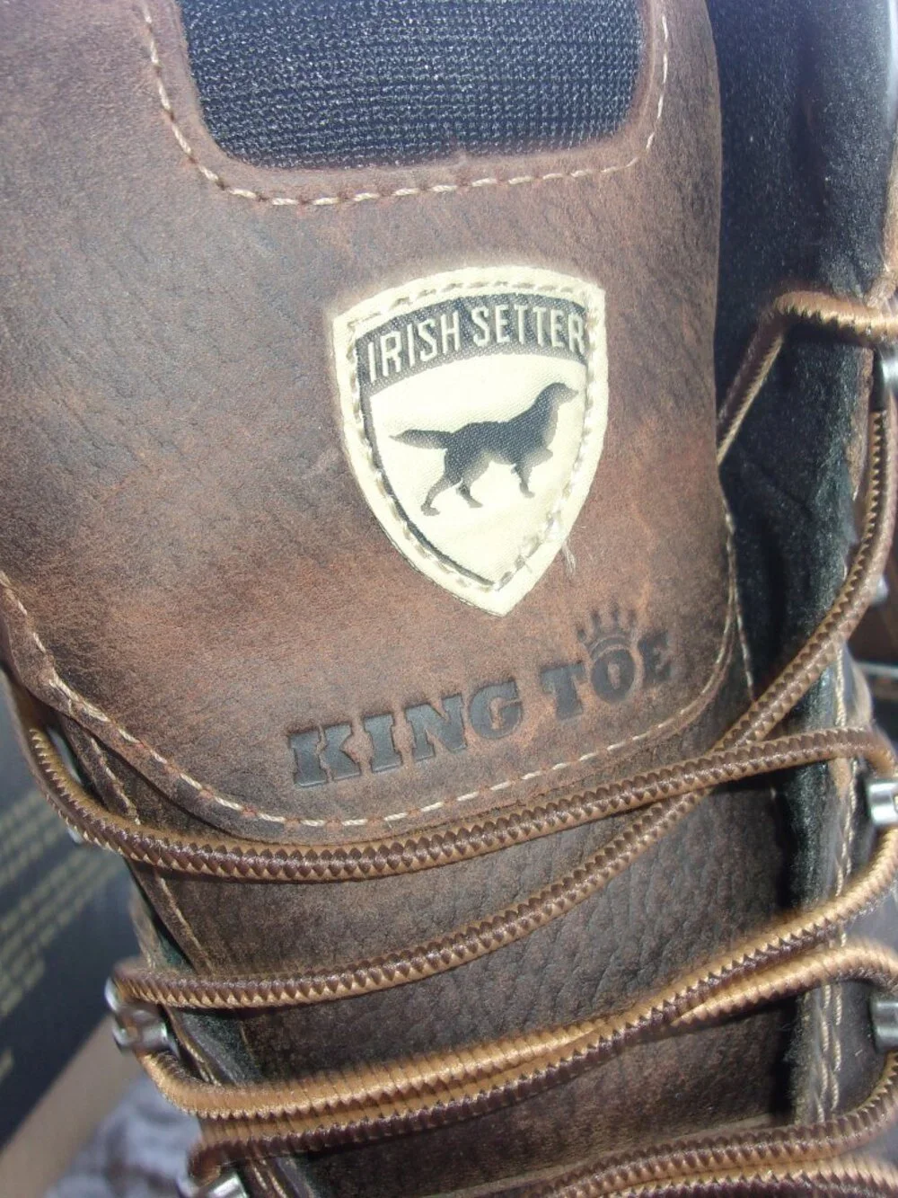 Irish Setter this pair